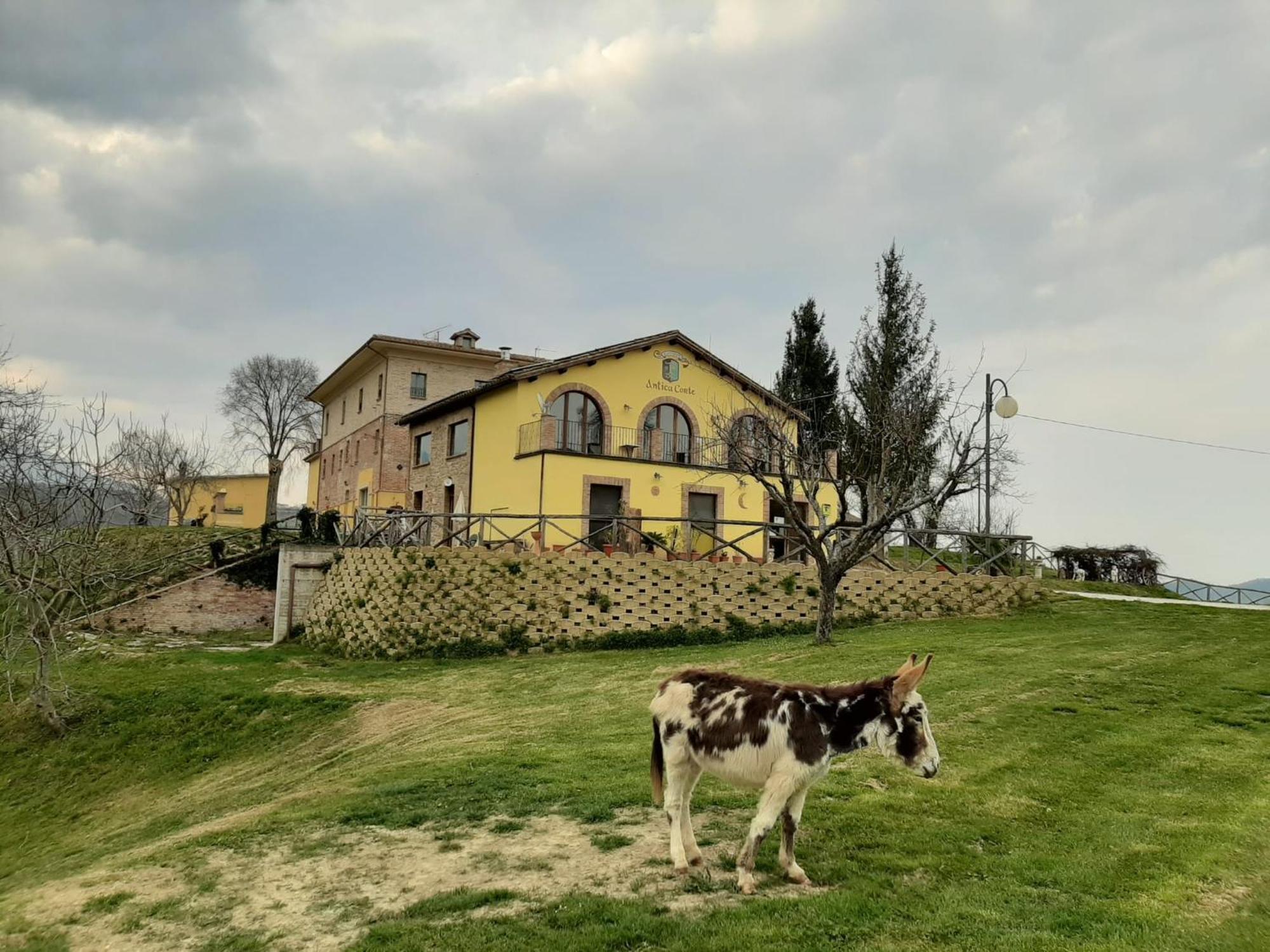 Agriturismo Antica Corte Montatteglia Exterior foto